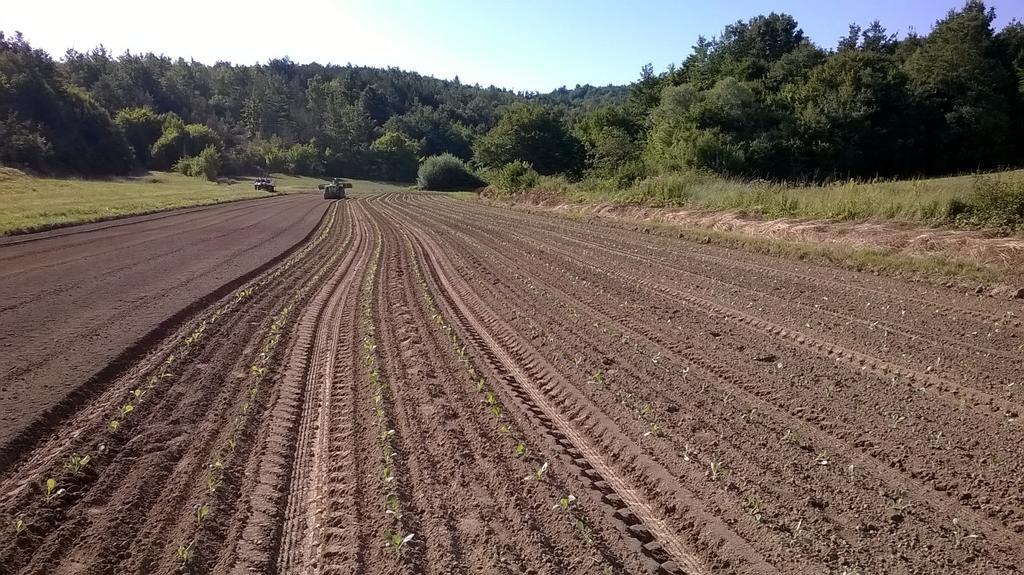 Hotel Agroturism Stara Stala à Borut Extérieur photo