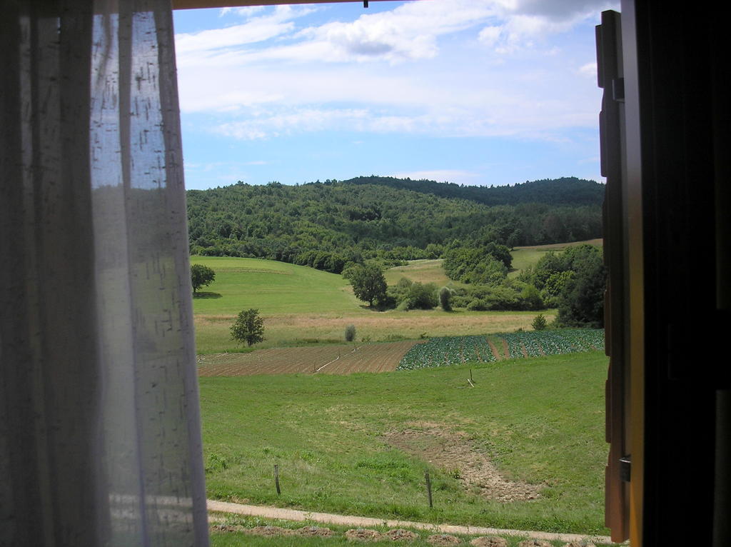 Hotel Agroturism Stara Stala à Borut Chambre photo