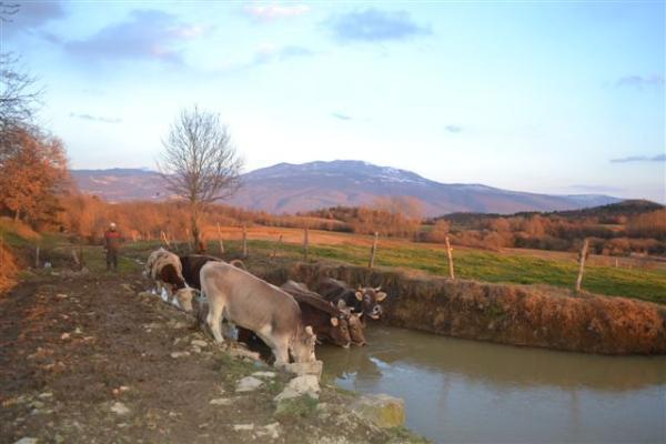 Hotel Agroturism Stara Stala à Borut Extérieur photo